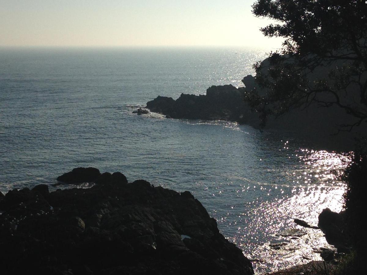 Bay View, Millendreth Looe Cornwall Villa Екстериор снимка
